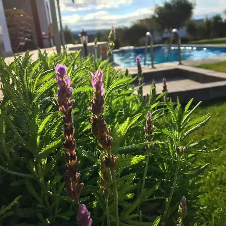 Boutique In Arkadi With Pool And Deck Chairs *